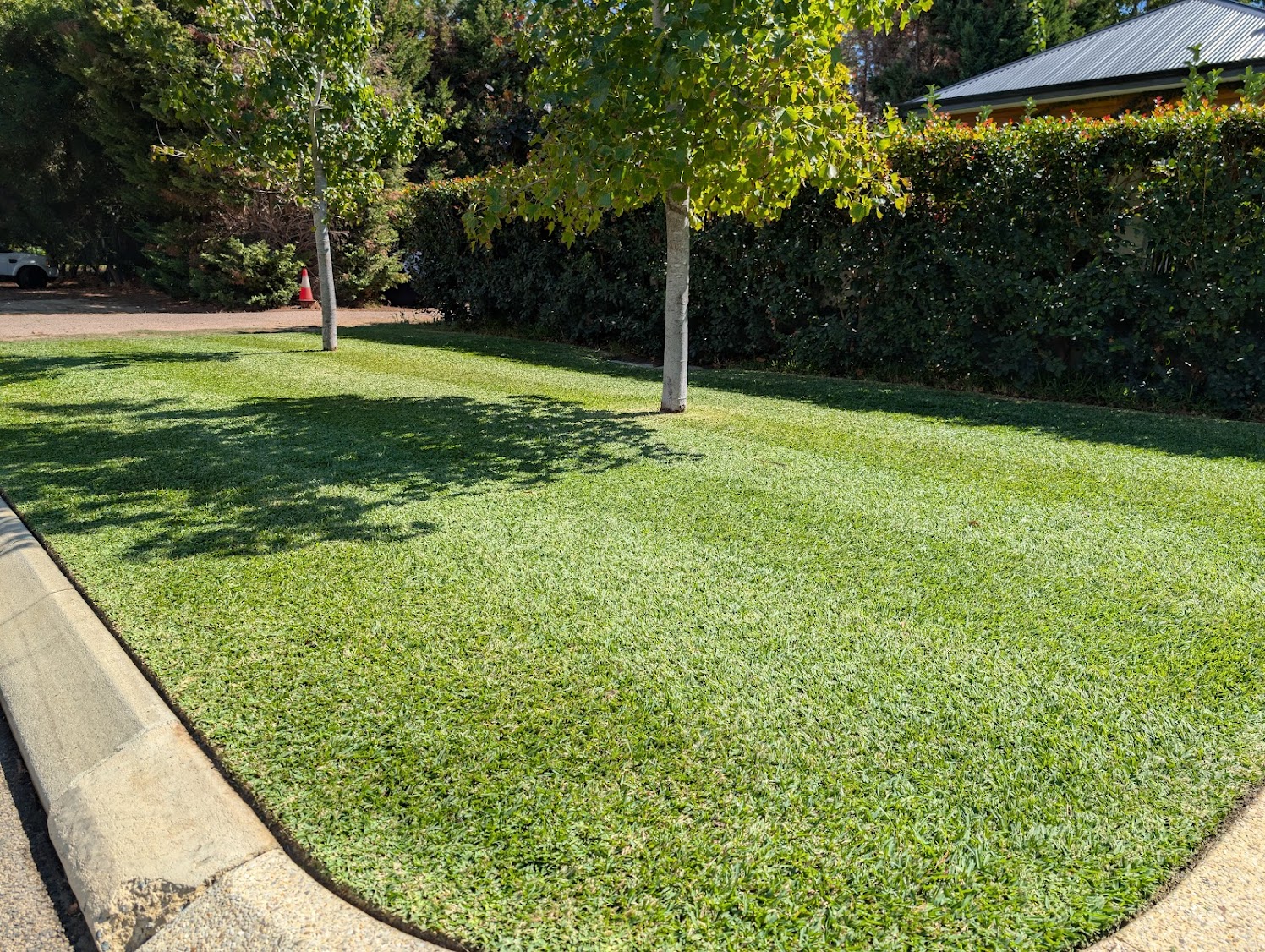 Beautiful maintained garden lawn