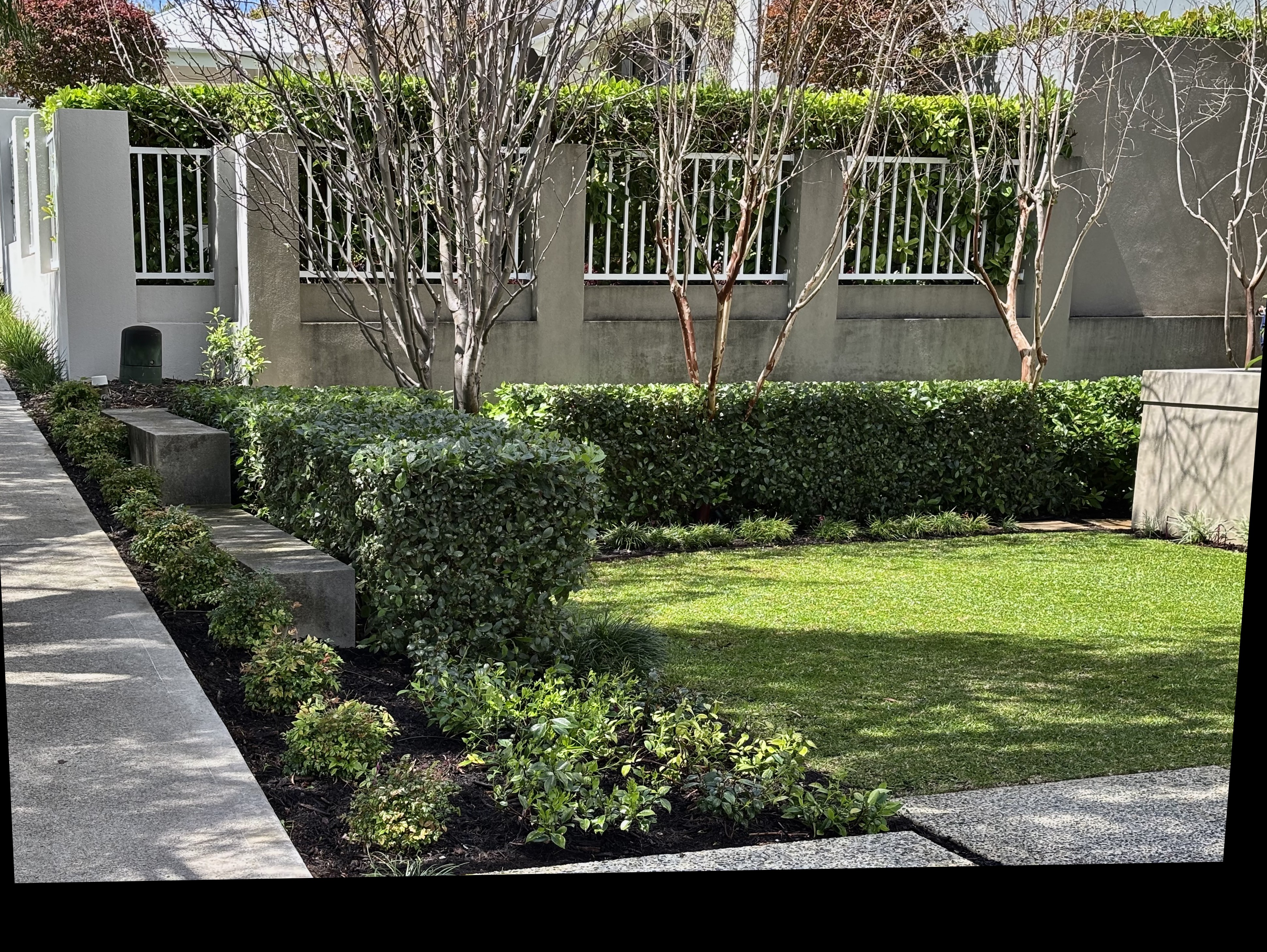 Front garden before transformation - basic lawn and garden beds