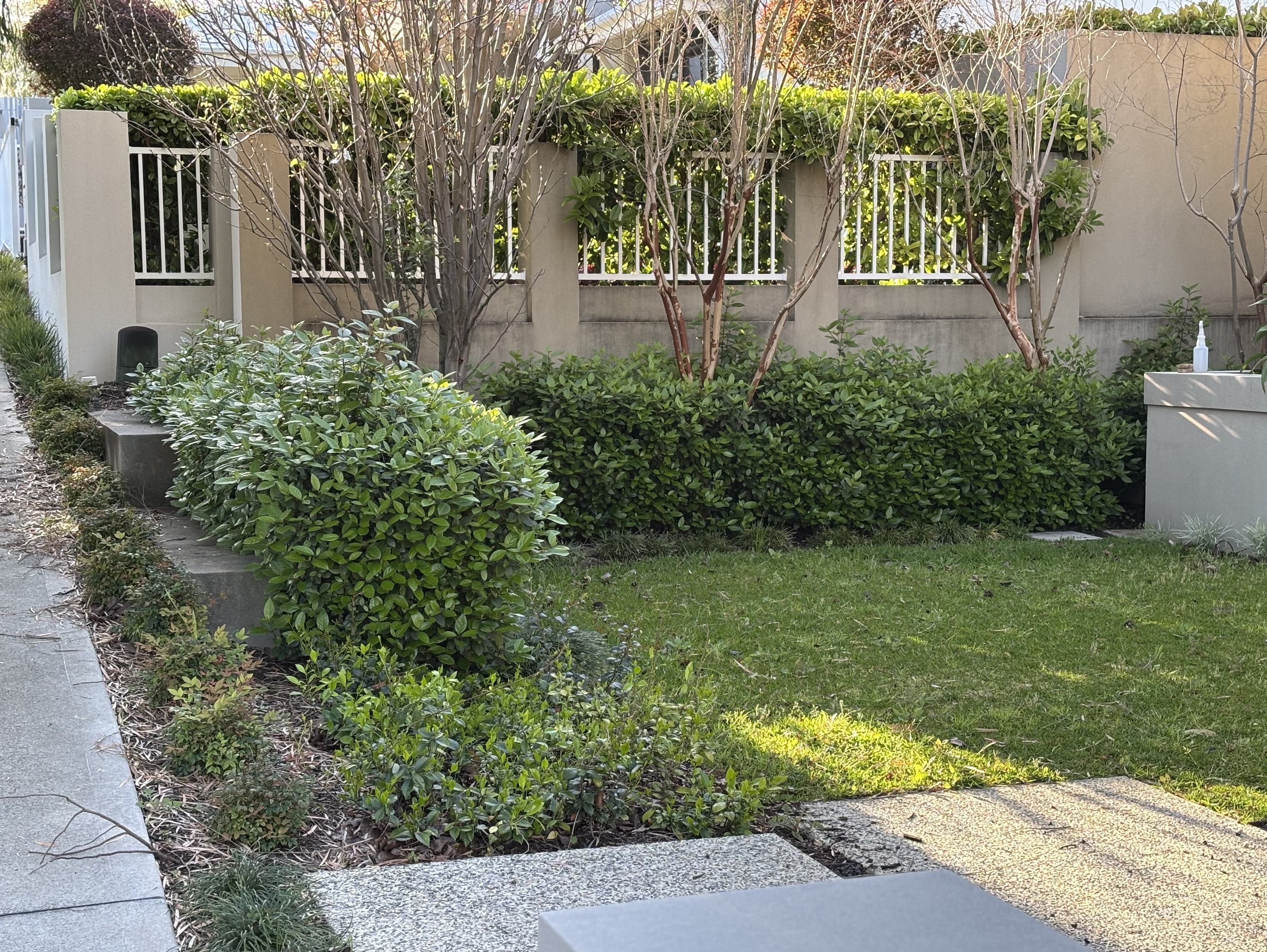 Front garden after Privium care - enhanced landscaping and lush lawn