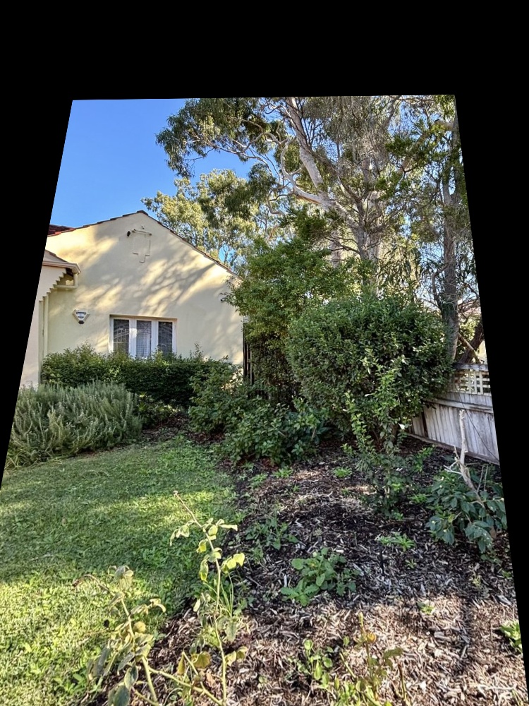 Garden after professional care - manicured and beautiful