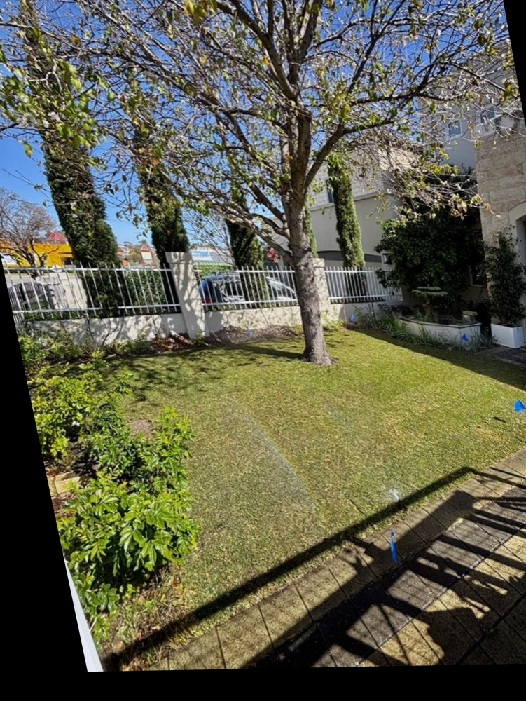 Lawn before professional treatment - patchy and uneven