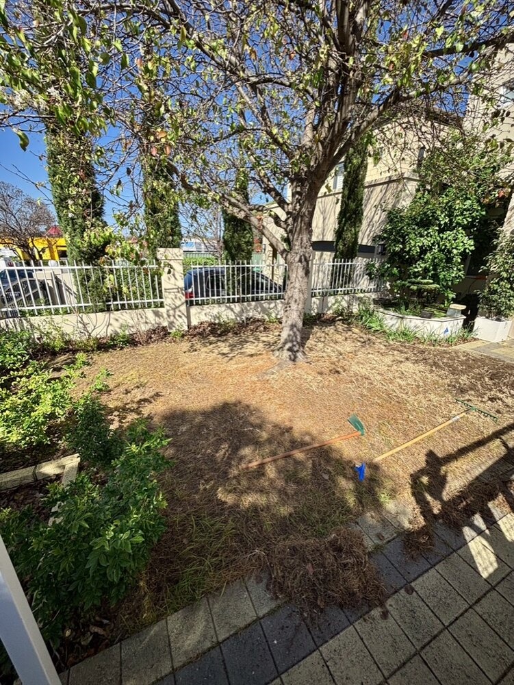 Lawn after Privium care - lush, green and healthy
