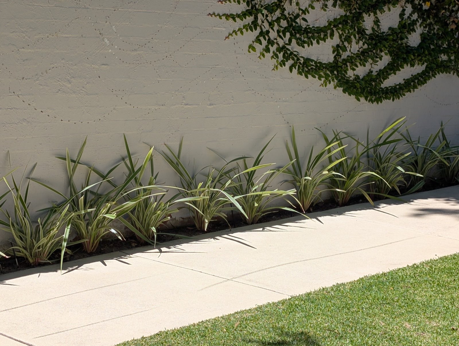 Perth garden specialists