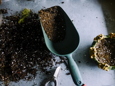 Soil testing and garden science